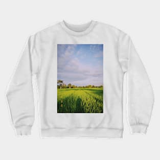 PRODUCTIVE DAY is coming. Crewneck Sweatshirt